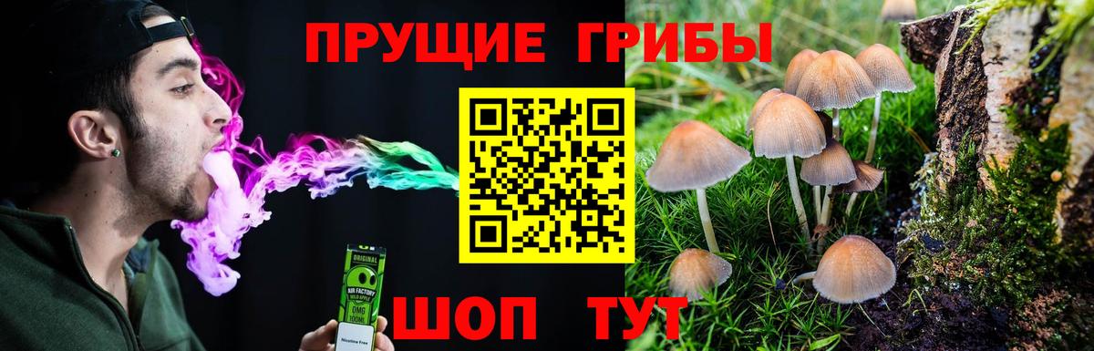 Псилоцибиновые грибы GOLDEN TEACHER  Вход с VPN  Осинники 